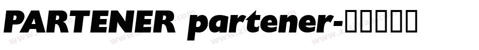 PARTENER partener字体转换